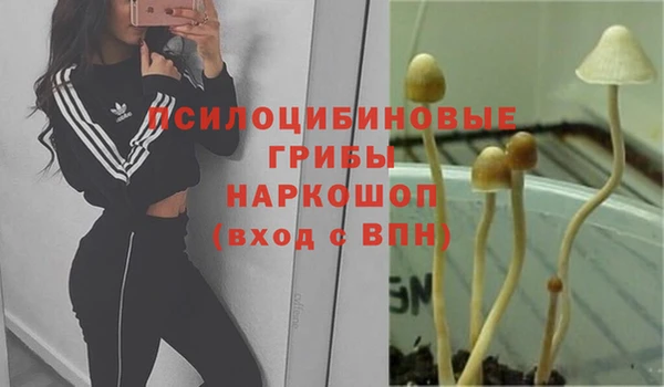 герыч Арсеньев
