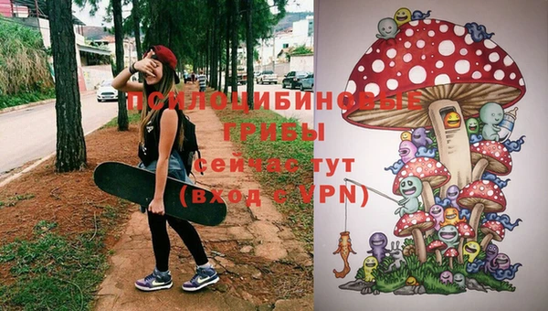 mdpv Аркадак