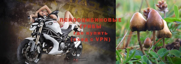 ALPHA-PVP Армянск