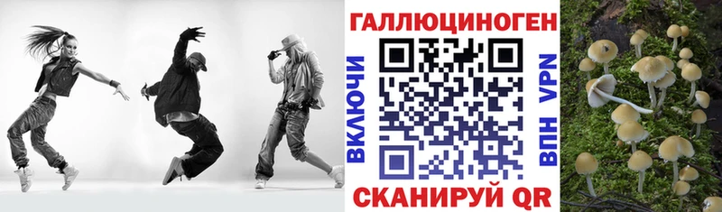 Галлюциногенные грибы GOLDEN TEACHER  Усть-Лабинск 